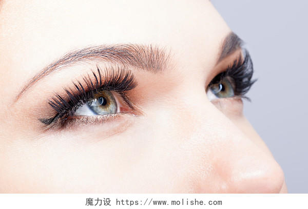女性的眼睛与长长的睫毛特写眼部整形眉毛纹绣美容睫毛